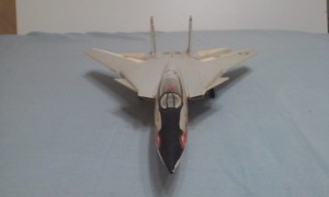 Grumman F-14 Tomcat Raven