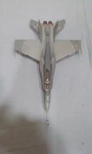 Northrop YF-17